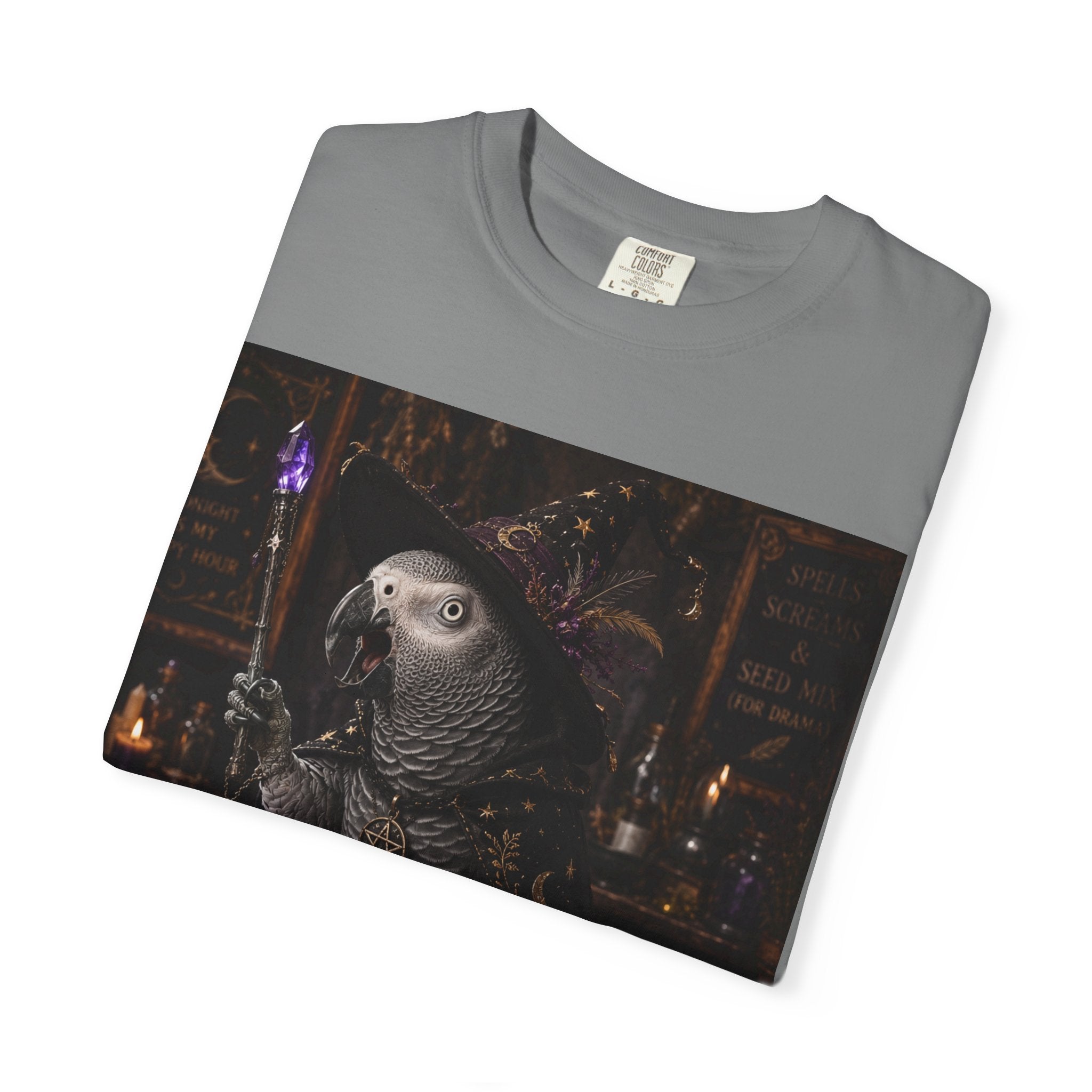 Witch Parrot T-Shirt — "Primordial Witch" Graphic Tee with "I've Got Room for Birds and Brooms" Back