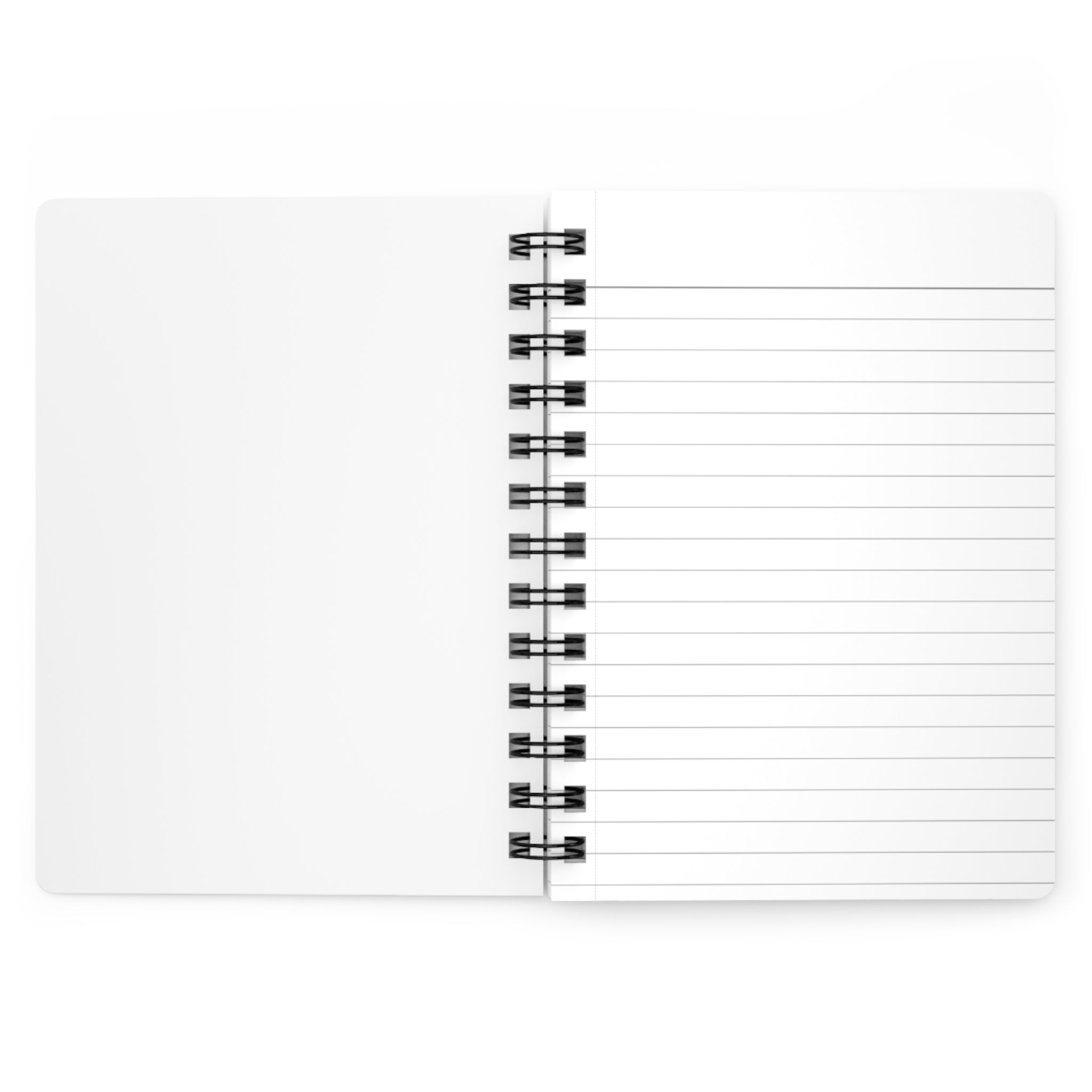 Beach Birds Spiral Journal — "I've Got Time for Only Two Things: Birds and Salt Life"