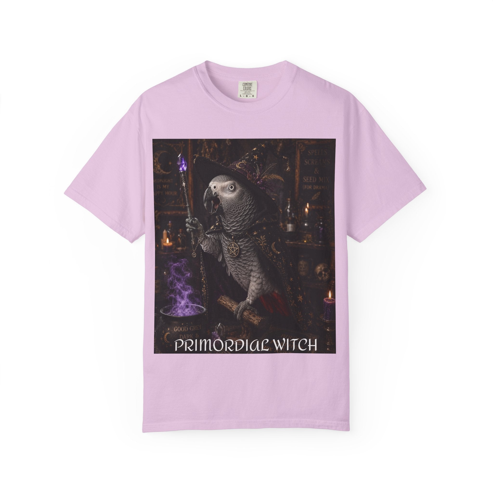 Witch Parrot T-Shirt — "Primordial Witch" Graphic Tee with "I've Got Room for Birds and Brooms" Back