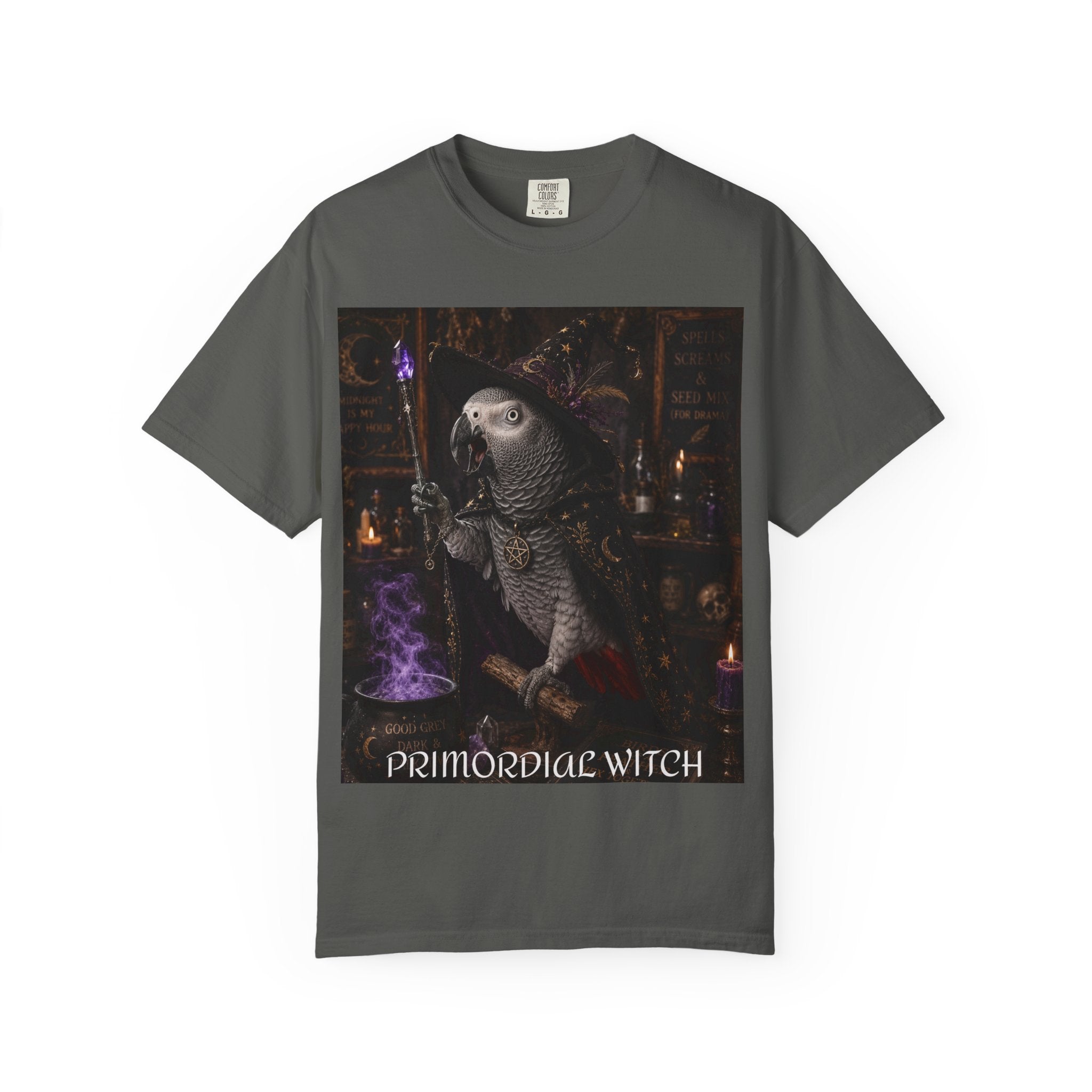 Witch Parrot T-Shirt — "Primordial Witch" Graphic Tee with "I've Got Room for Birds and Brooms" Back