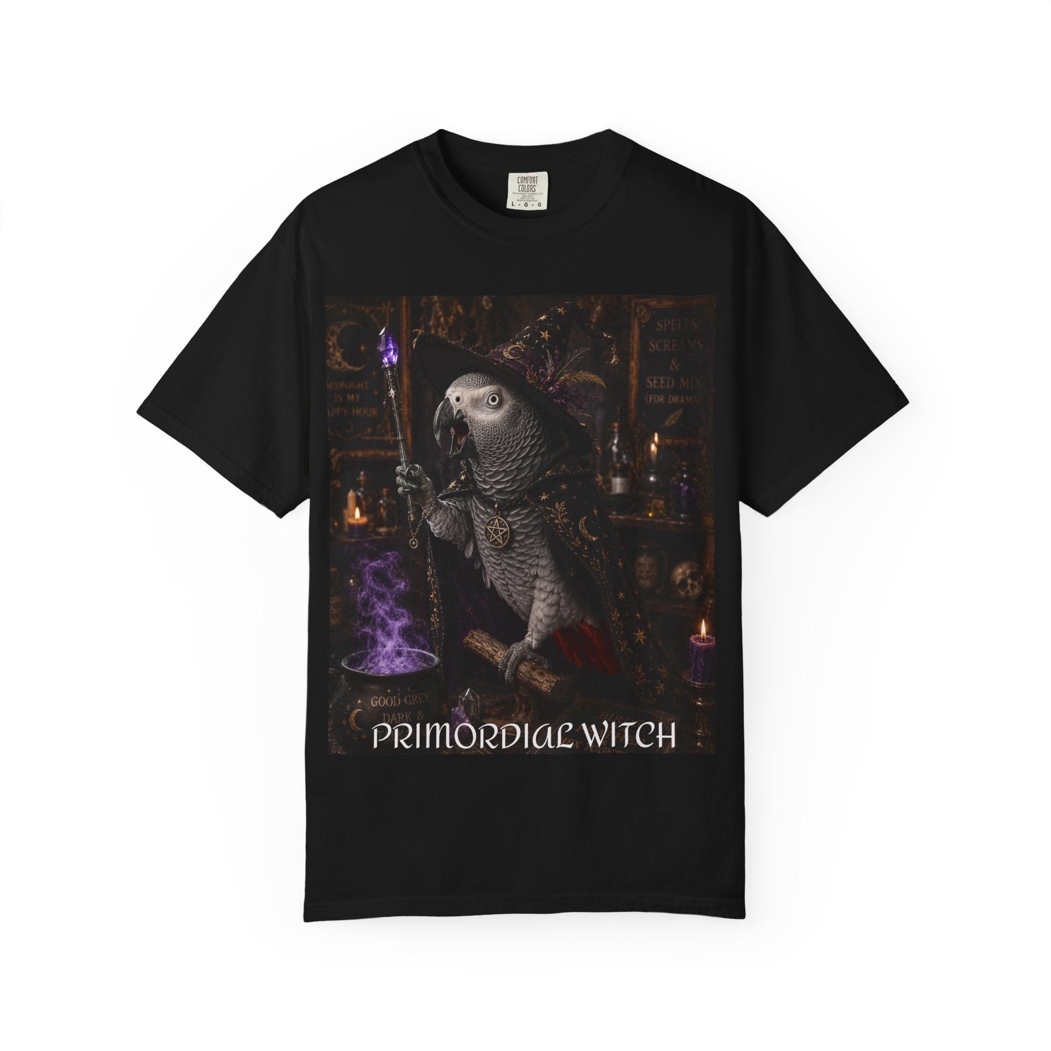 Witch Parrot T-Shirt — "Primordial Witch" Graphic Tee with "I've Got Room for Birds and Brooms" Back