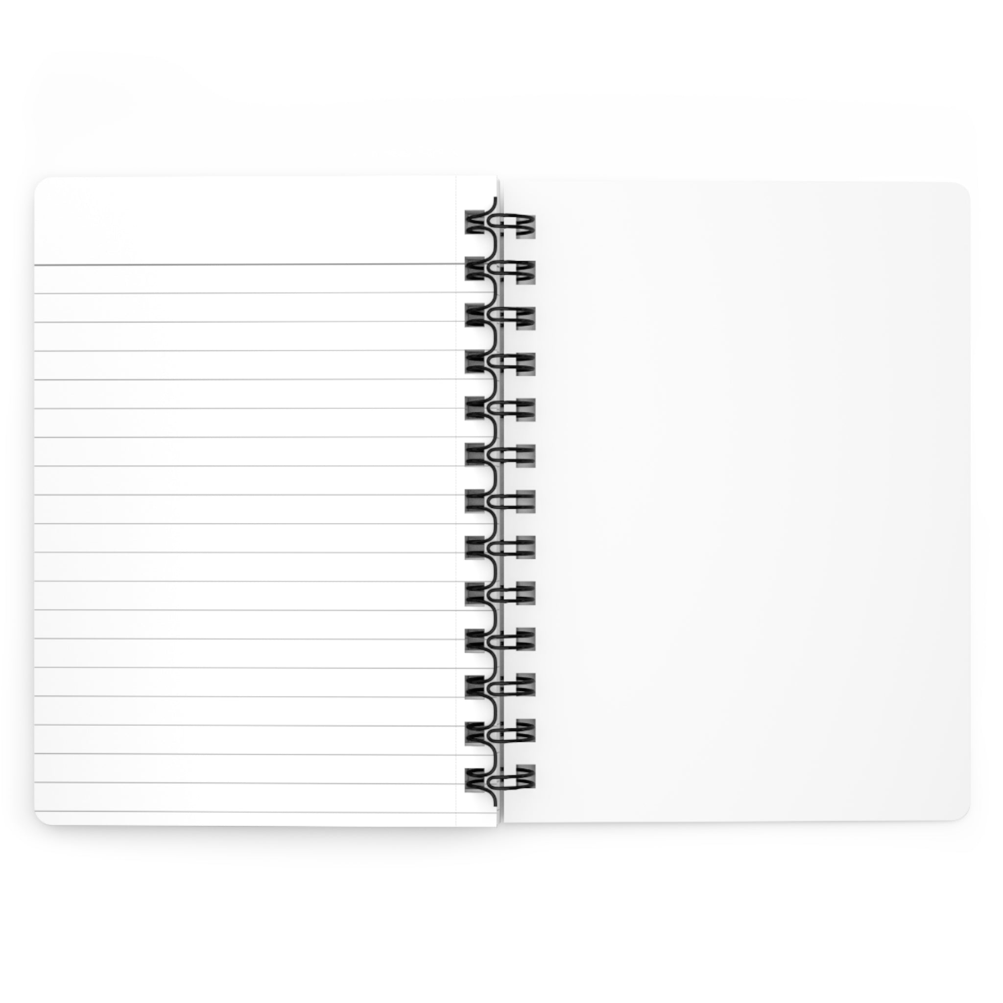 Spiral Notebook — Cute Witch Bird Journal “I’ve Got Room for Birds and Brooms”