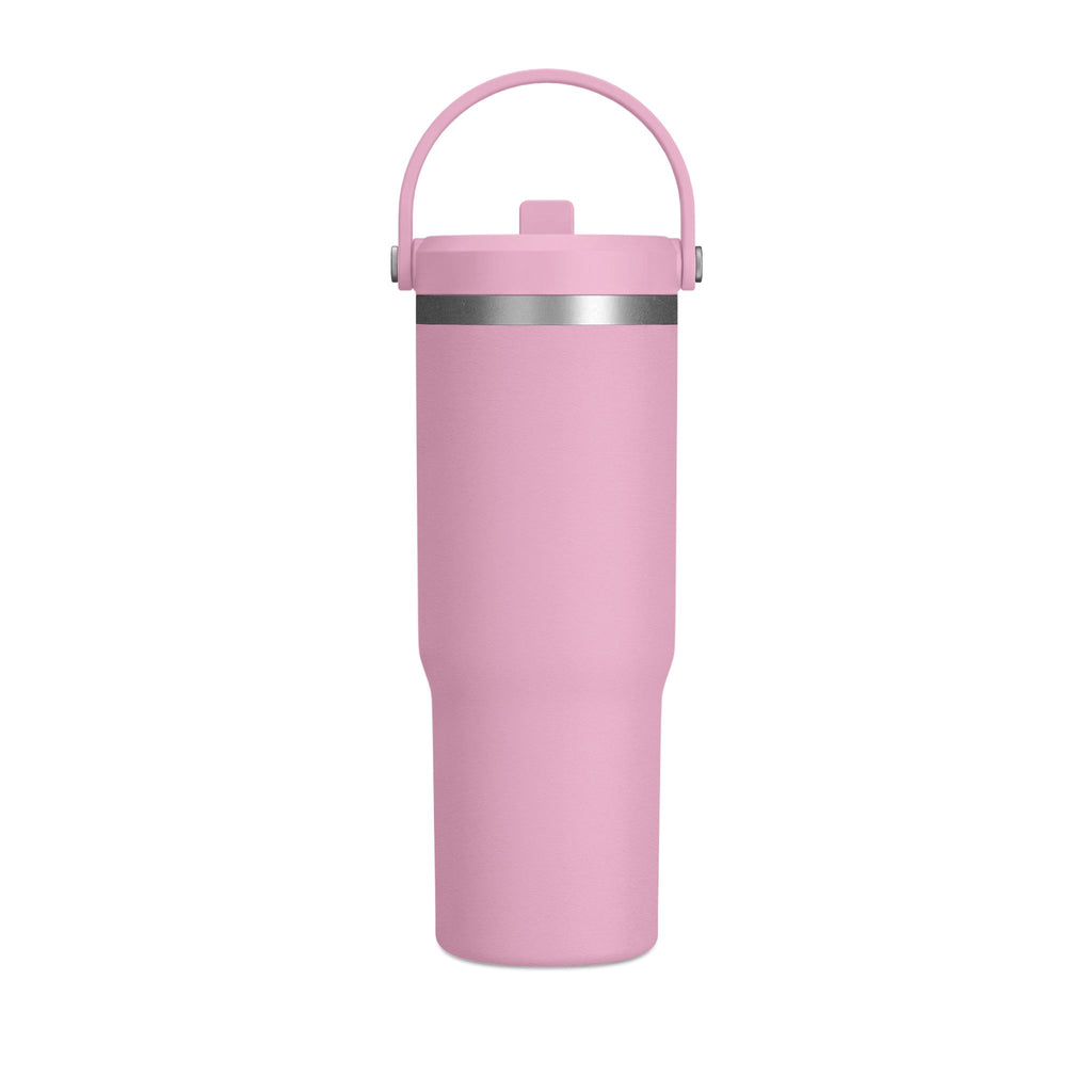 I've Got Room for Birds and Brooms 32oz Tumbler — Witchy Travel Mug