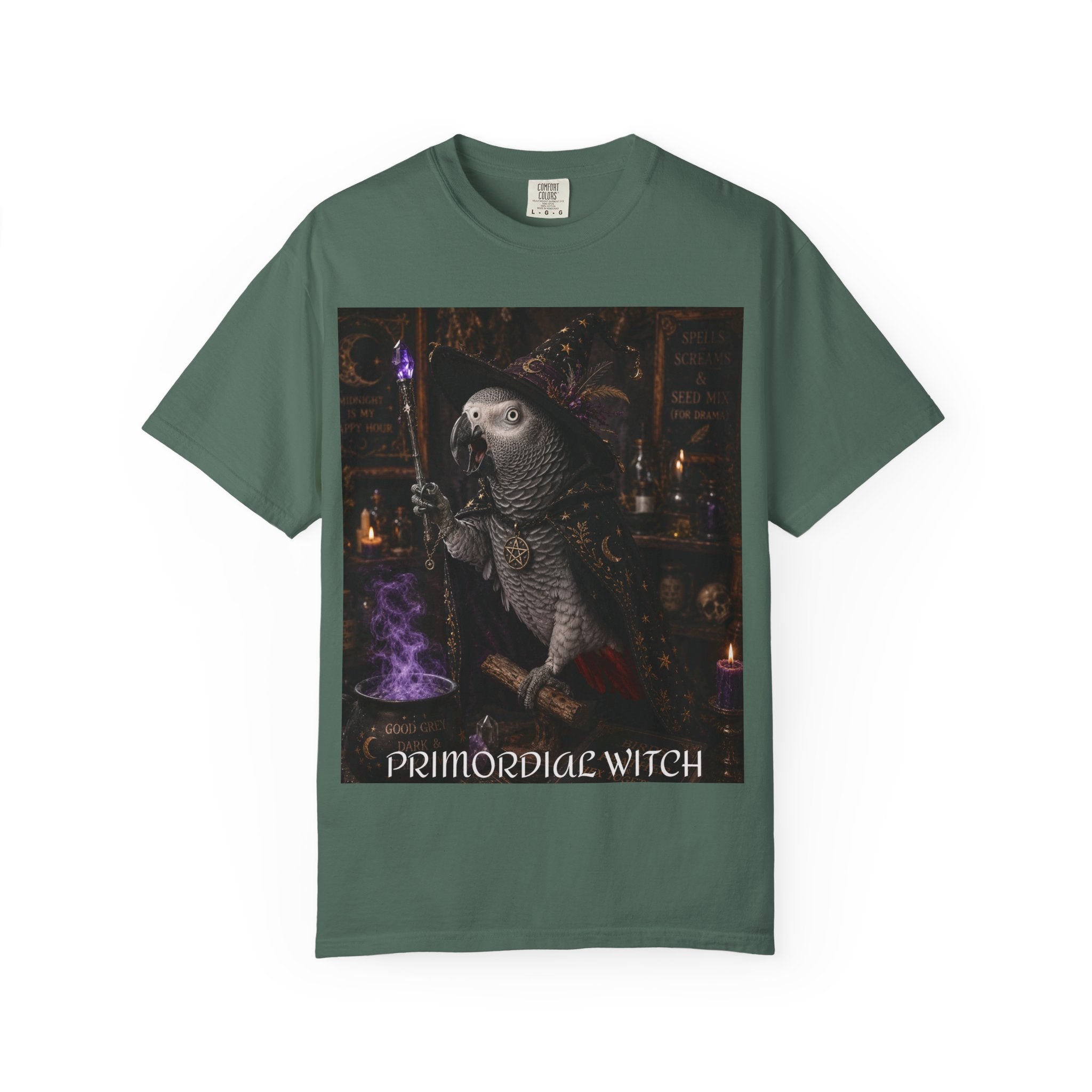 Witch Parrot T-Shirt — "Primordial Witch" Graphic Tee with "I've Got Room for Birds and Brooms" Back