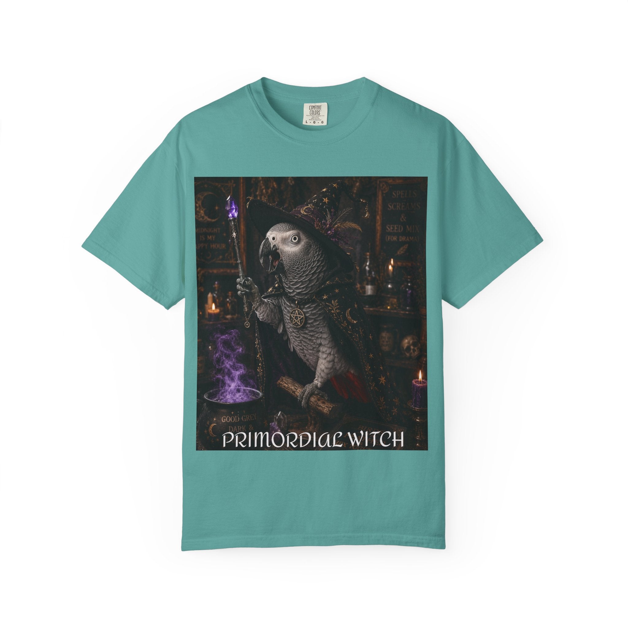 Witch Parrot T-Shirt — "Primordial Witch" Graphic Tee with "I've Got Room for Birds and Brooms" Back