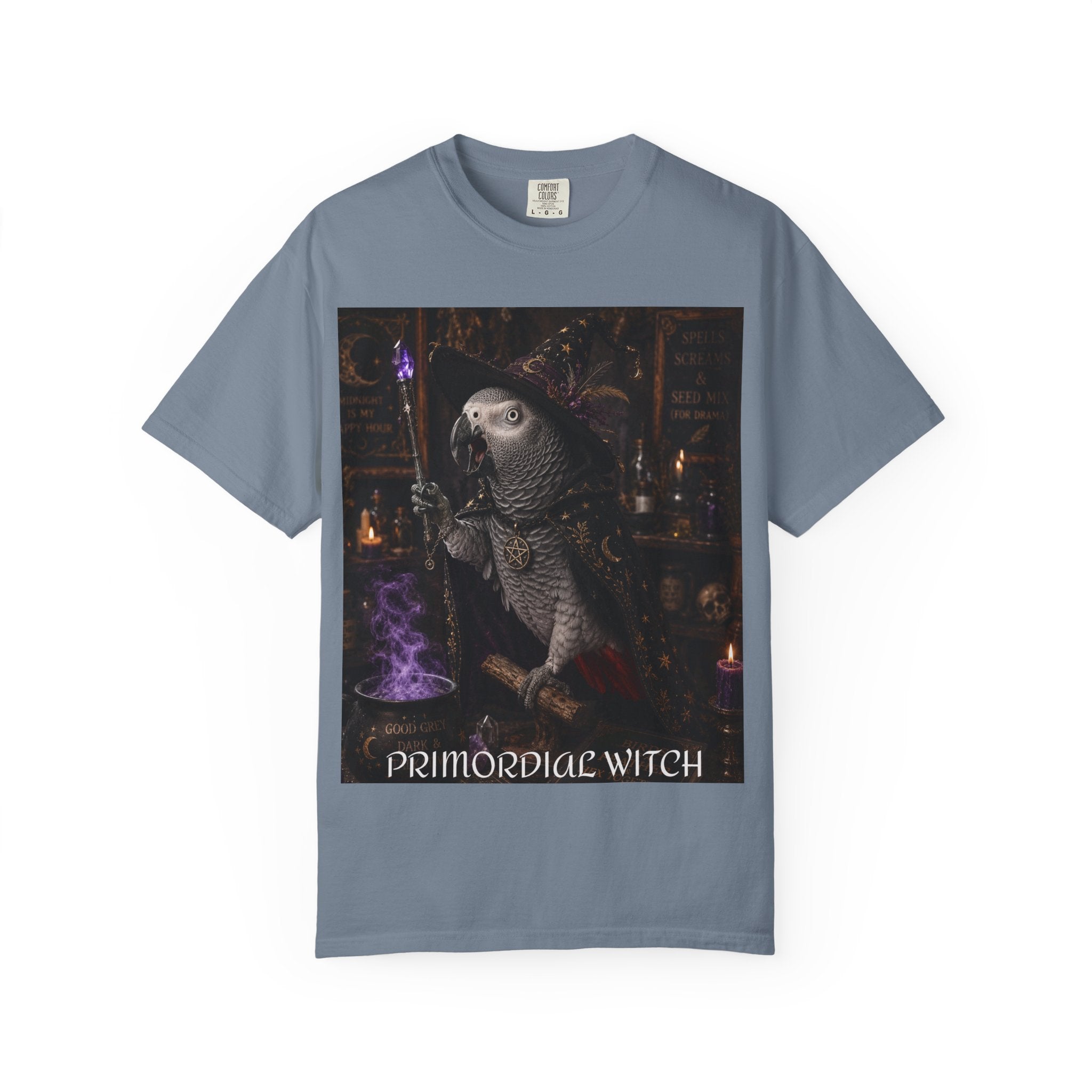 Witch Parrot T-Shirt — "Primordial Witch" Graphic Tee with "I've Got Room for Birds and Brooms" Back