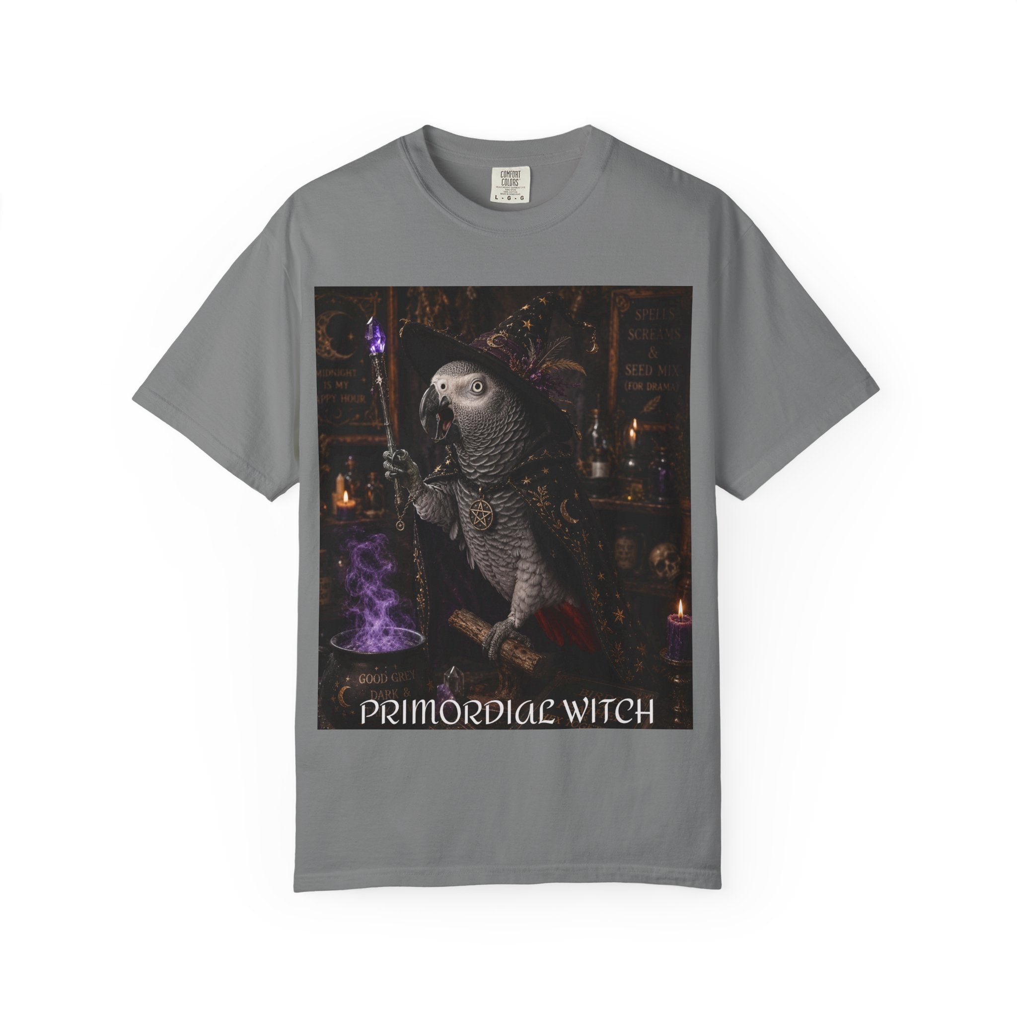 Witch Parrot T-Shirt — "Primordial Witch" Graphic Tee with "I've Got Room for Birds and Brooms" Back