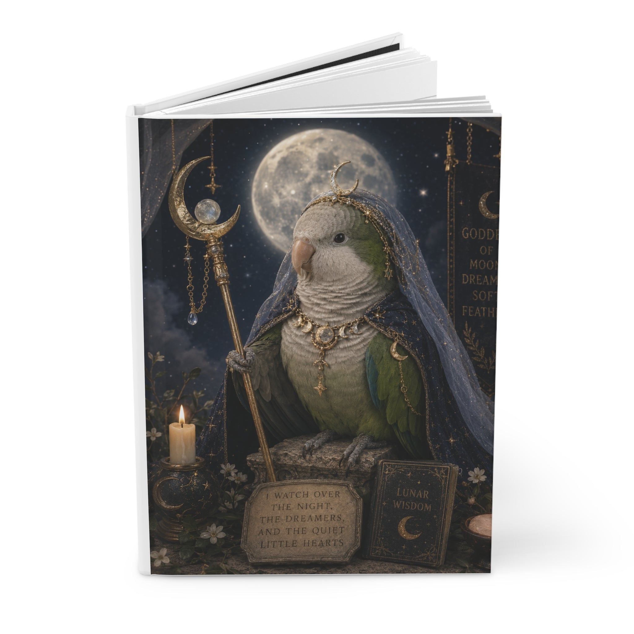 Hardcover Journal — "I’ve Got Room for Birds and Brooms" Magical Bird Witch Notebook