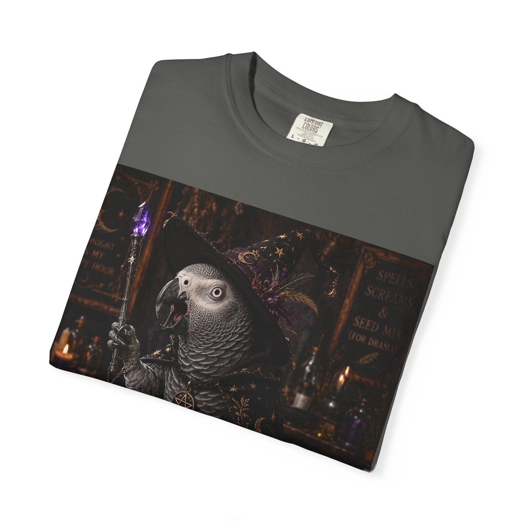 Witch Parrot T-Shirt — "Primordial Witch" Graphic Tee with "I've Got Room for Birds and Brooms" Back