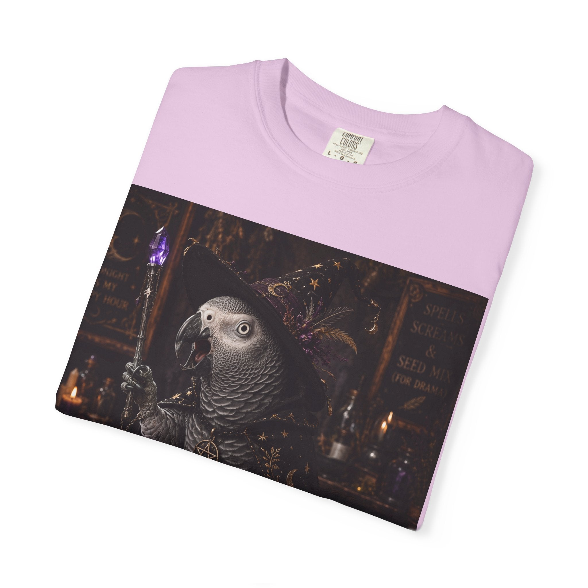 Witch Parrot T-Shirt — "Primordial Witch" Graphic Tee with "I've Got Room for Birds and Brooms" Back