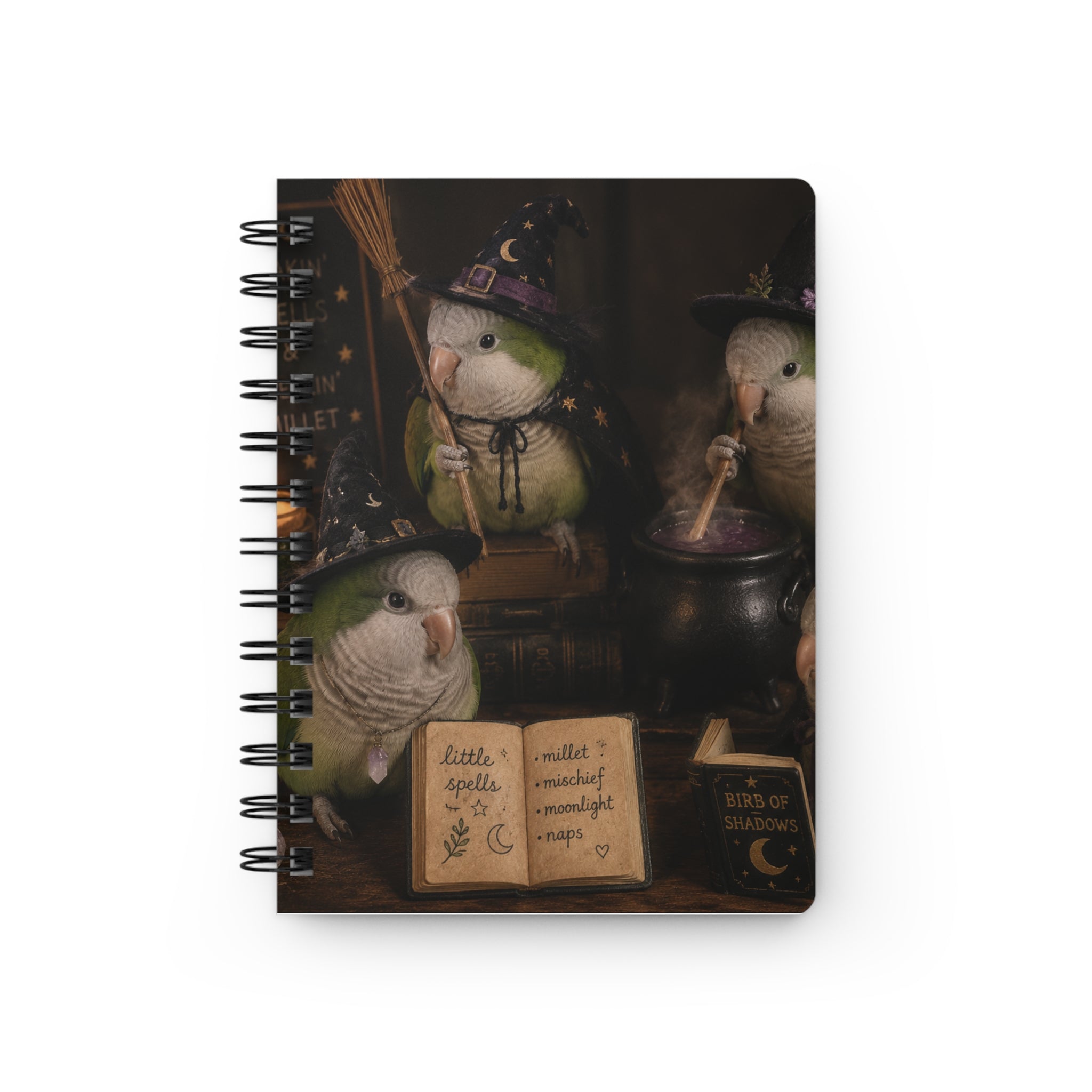 Spiral Notebook — Cute Witch Bird Journal “I’ve Got Room for Birds and Brooms”