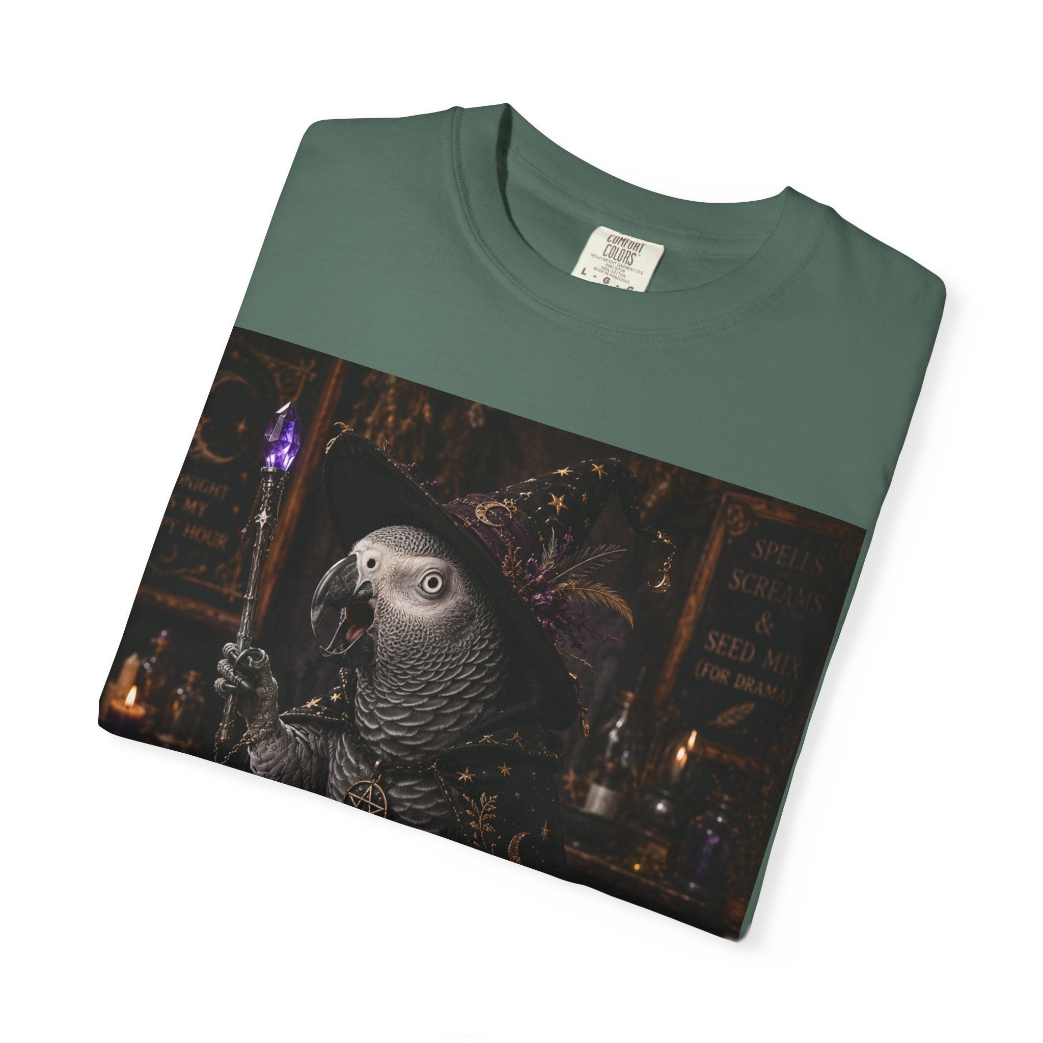 Witch Parrot T-Shirt — "Primordial Witch" Graphic Tee with "I've Got Room for Birds and Brooms" Back